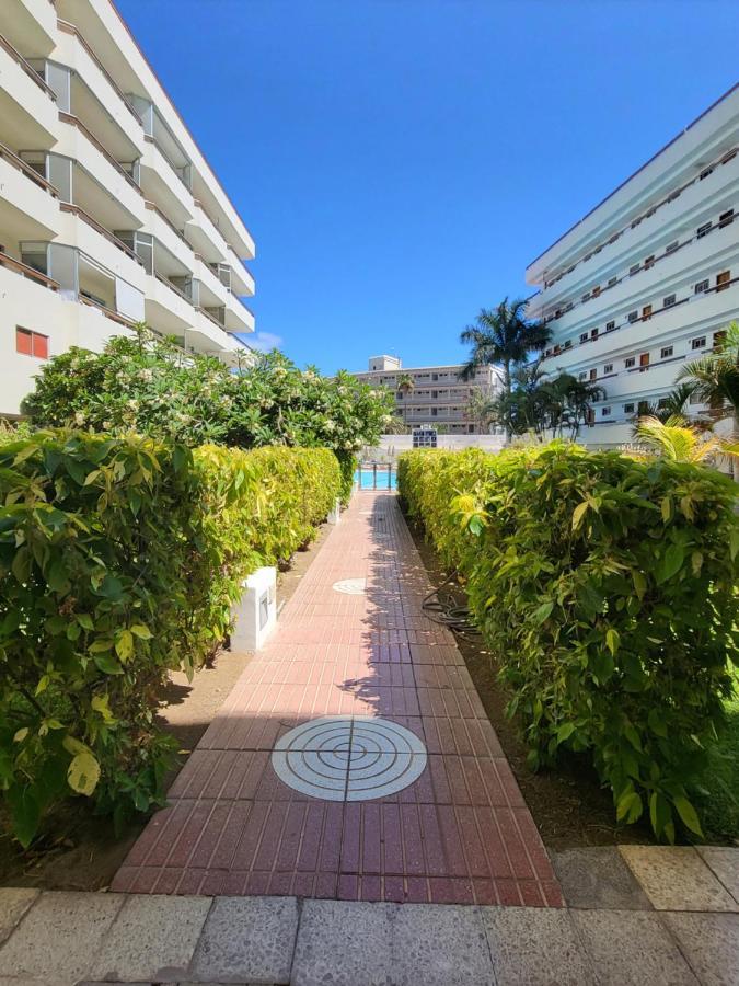 Las Camelias Apartments Плайя-дель-Инглес Экстерьер фото