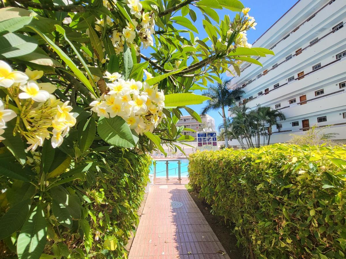 Las Camelias Apartments Плайя-дель-Инглес Экстерьер фото