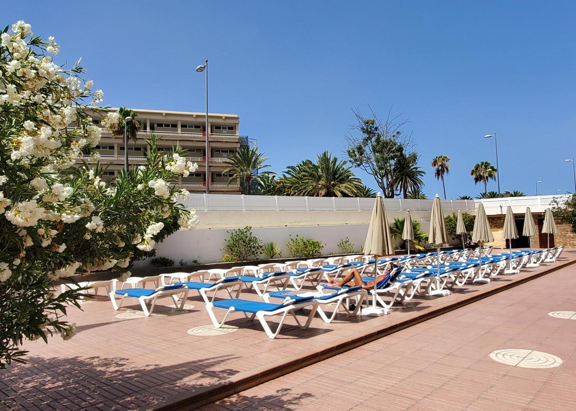 Las Camelias Apartments Плайя-дель-Инглес Экстерьер фото