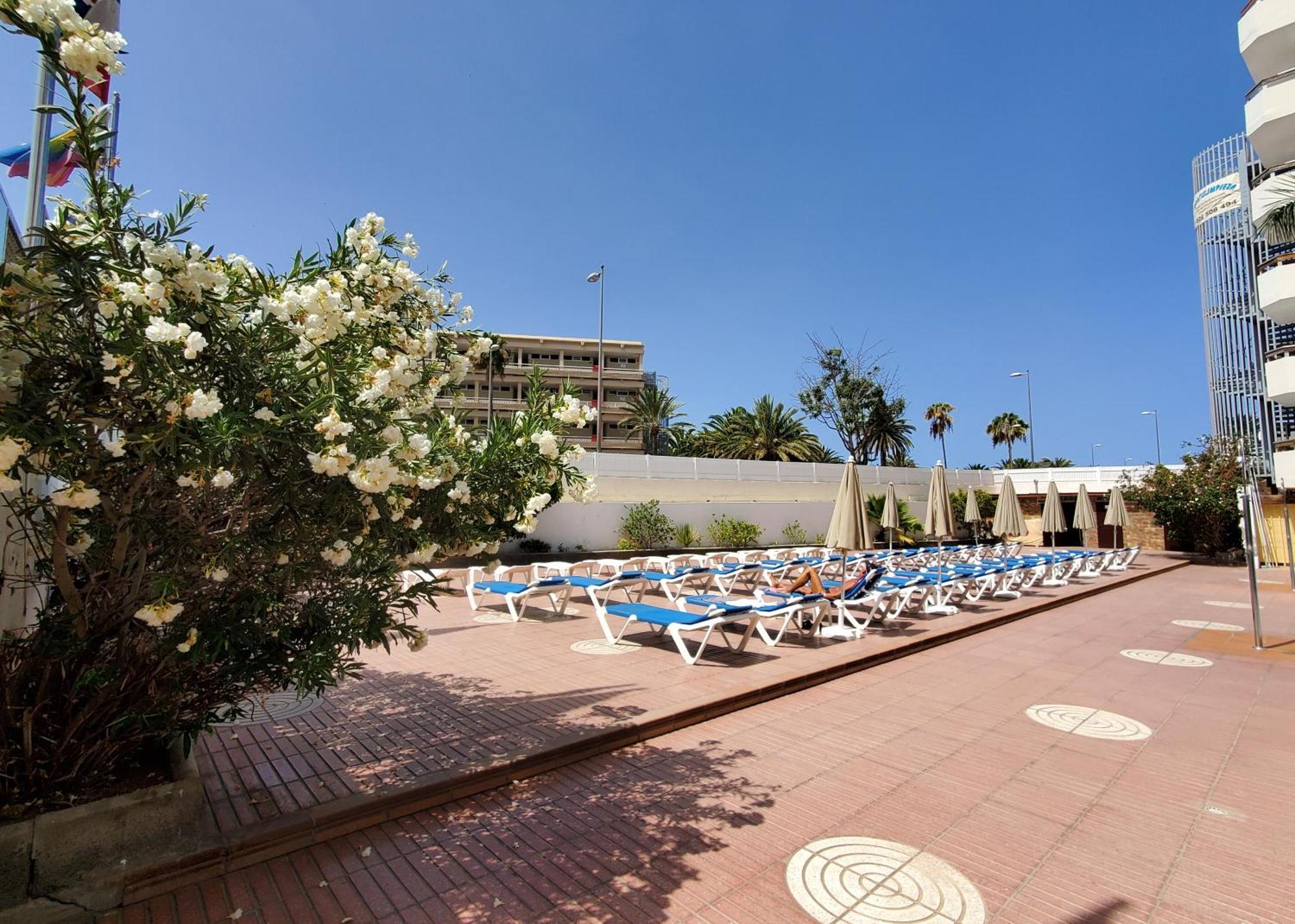 Las Camelias Apartments Плайя-дель-Инглес Экстерьер фото